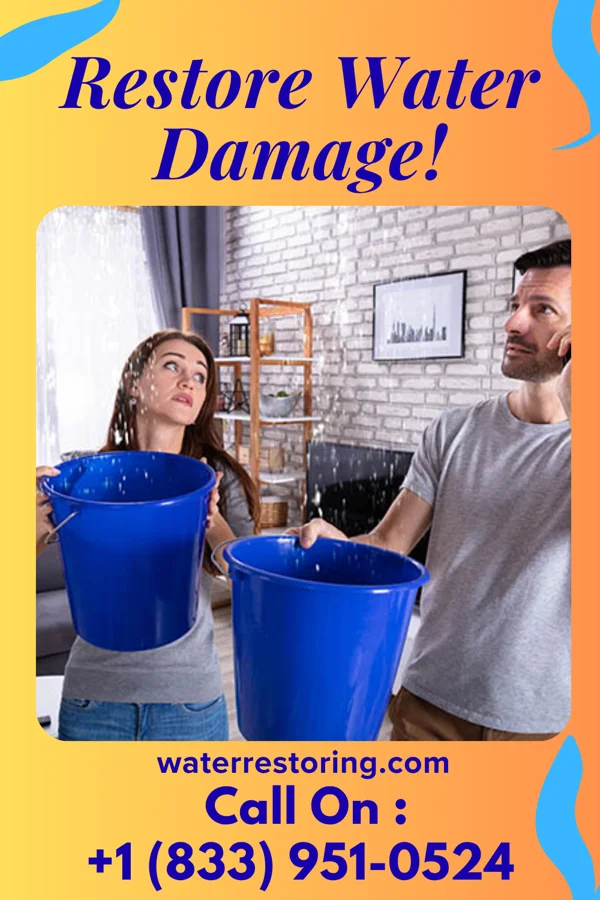 water restoration Eco Cleanup Professionals Lake Harbor